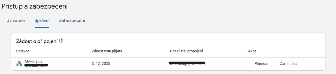 Ukázka oficiální žádosti o přístup Google Ads v rozhraní